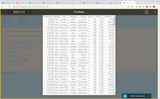 Excel Cobrowse viewer interface
