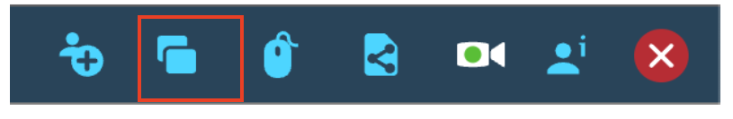 Share Screen icon