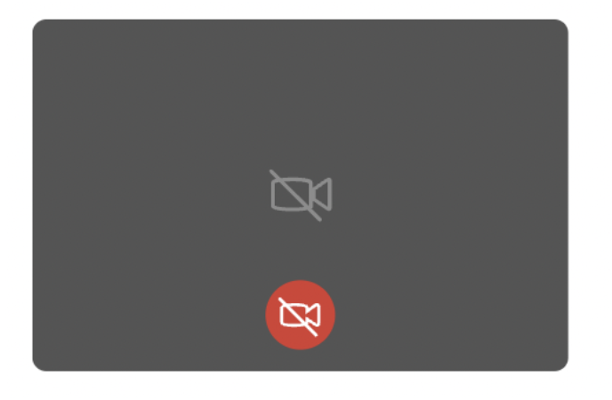 Safari red video icon